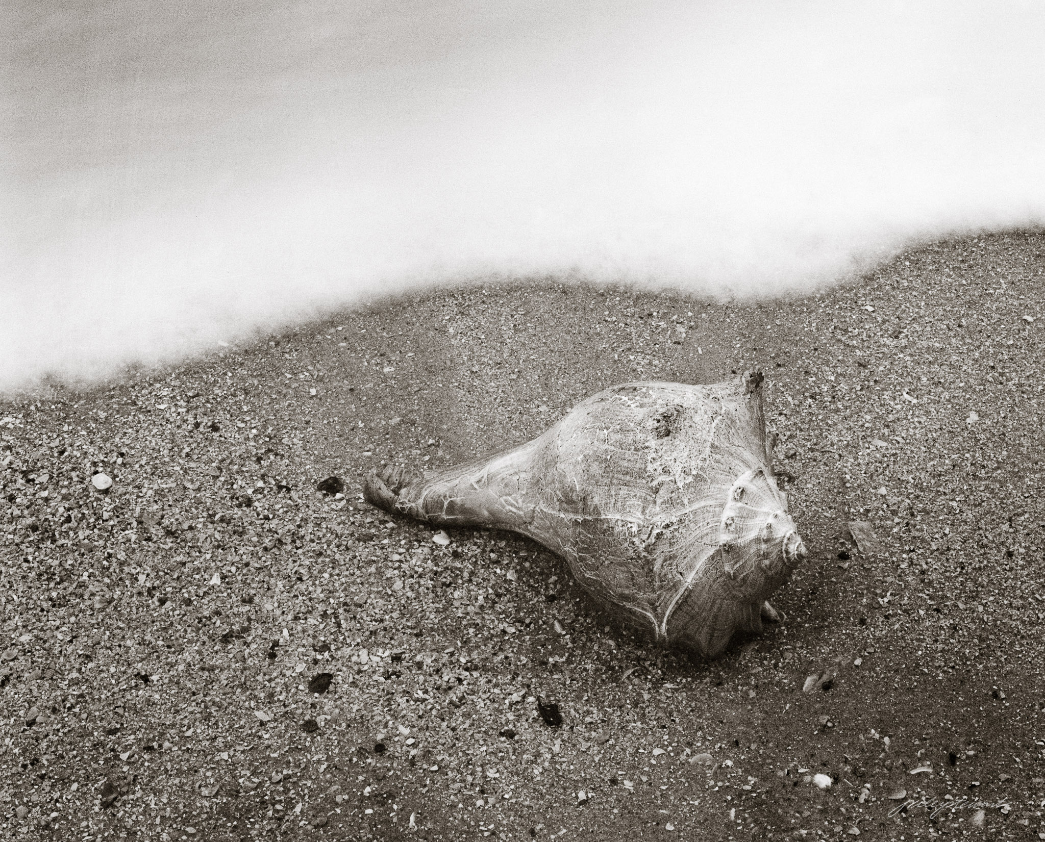 Beach Front Property